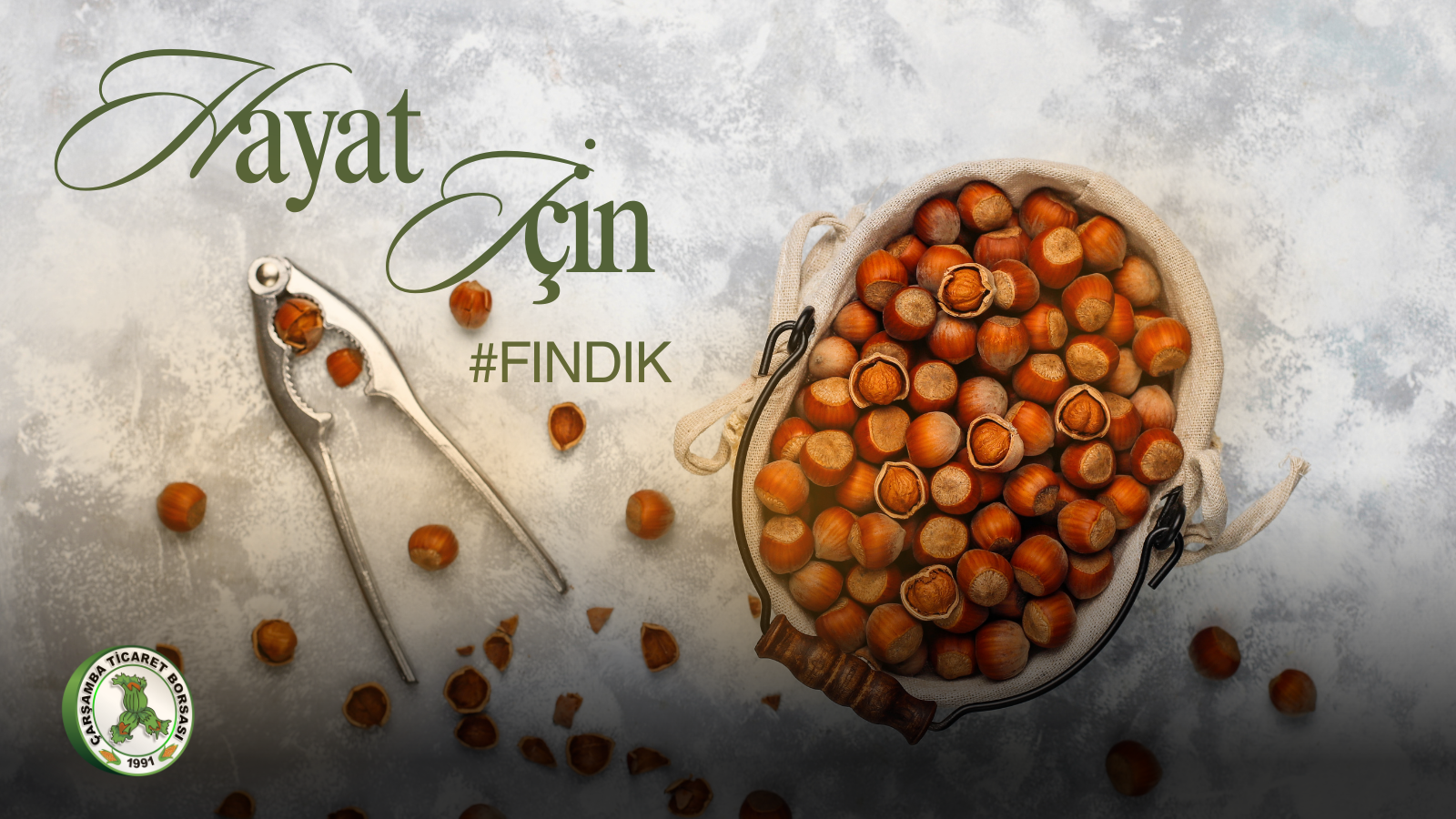 fındık3