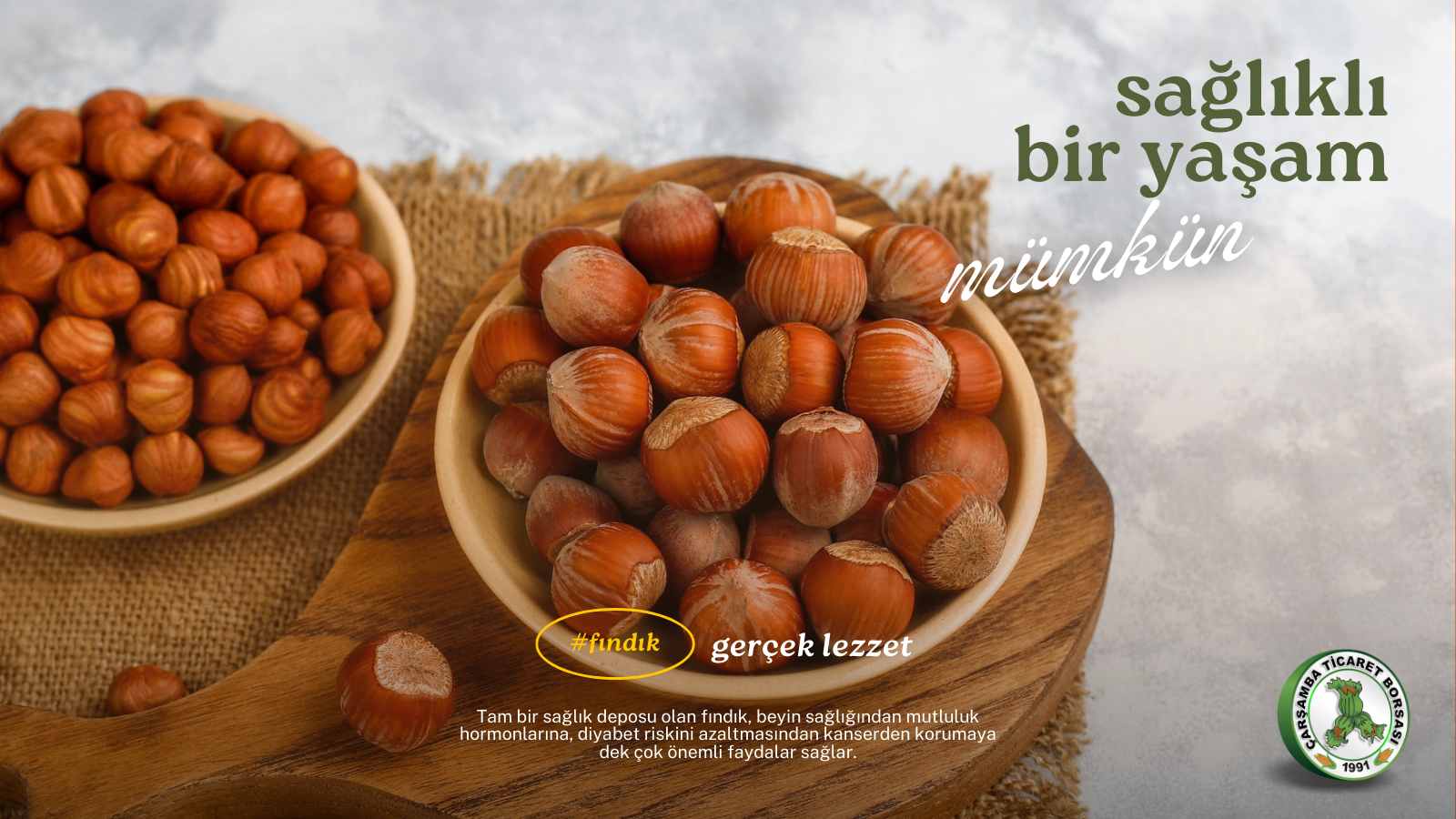 fındık2