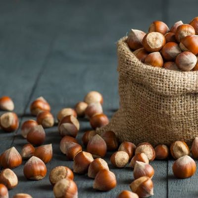 Tmo’da Kabuklu Fındık Satışları Başladı
