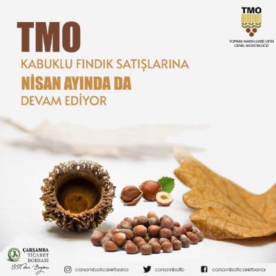 Tmo Kabuklu Fındık Satışına Nisan Ayında Da Devam Ediyor