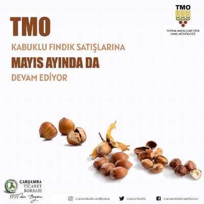 Tmo Kabuklu Fındık Satışına Mayıs Ayında Da Devam Ediyor