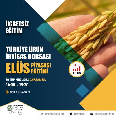 Türib Elüs Piyasası Eğitimi