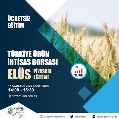 Türib Elüs Piyasası Ağustos Ayı Eğitimi