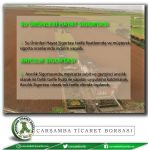 Tarım Sigortaları Havuzu Tarafından 2021 Yılında Kapsama Alınacak Riskler, Ürünler ve Bölgeler ile Prim Desteği Oranlarına İlişkin Karar