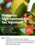 Fındığınızı Sigortalatmak İçin Geç Kalmayın!