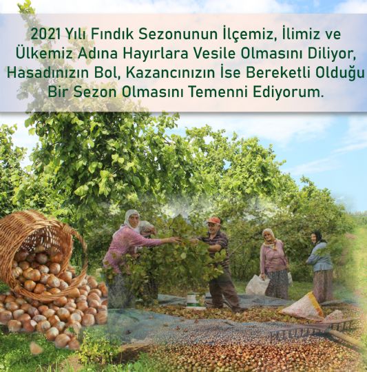 YILMAZ; 2021 Yılı Fındık Sezonu Hayırlı Olsun
