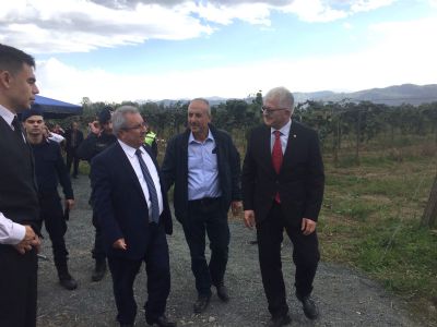 Çarşamba'da Kivi Hasat Etkinliği Gerçekleştirildi