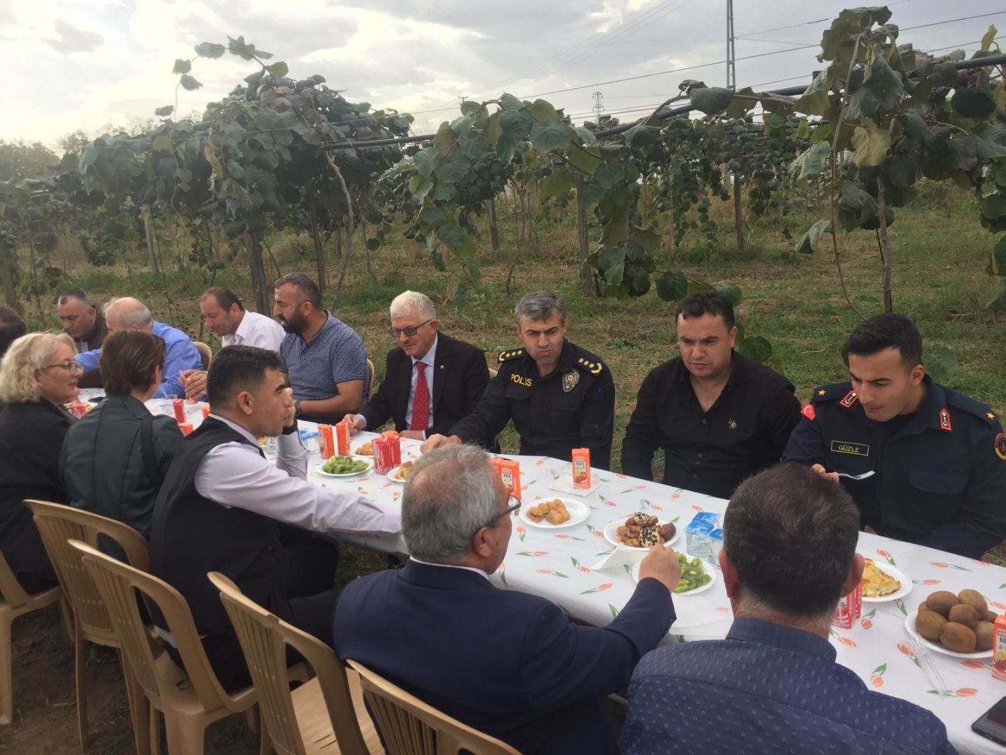 Çarşamba'da Kivi Hasat Etkinliği Gerçekleştirildi