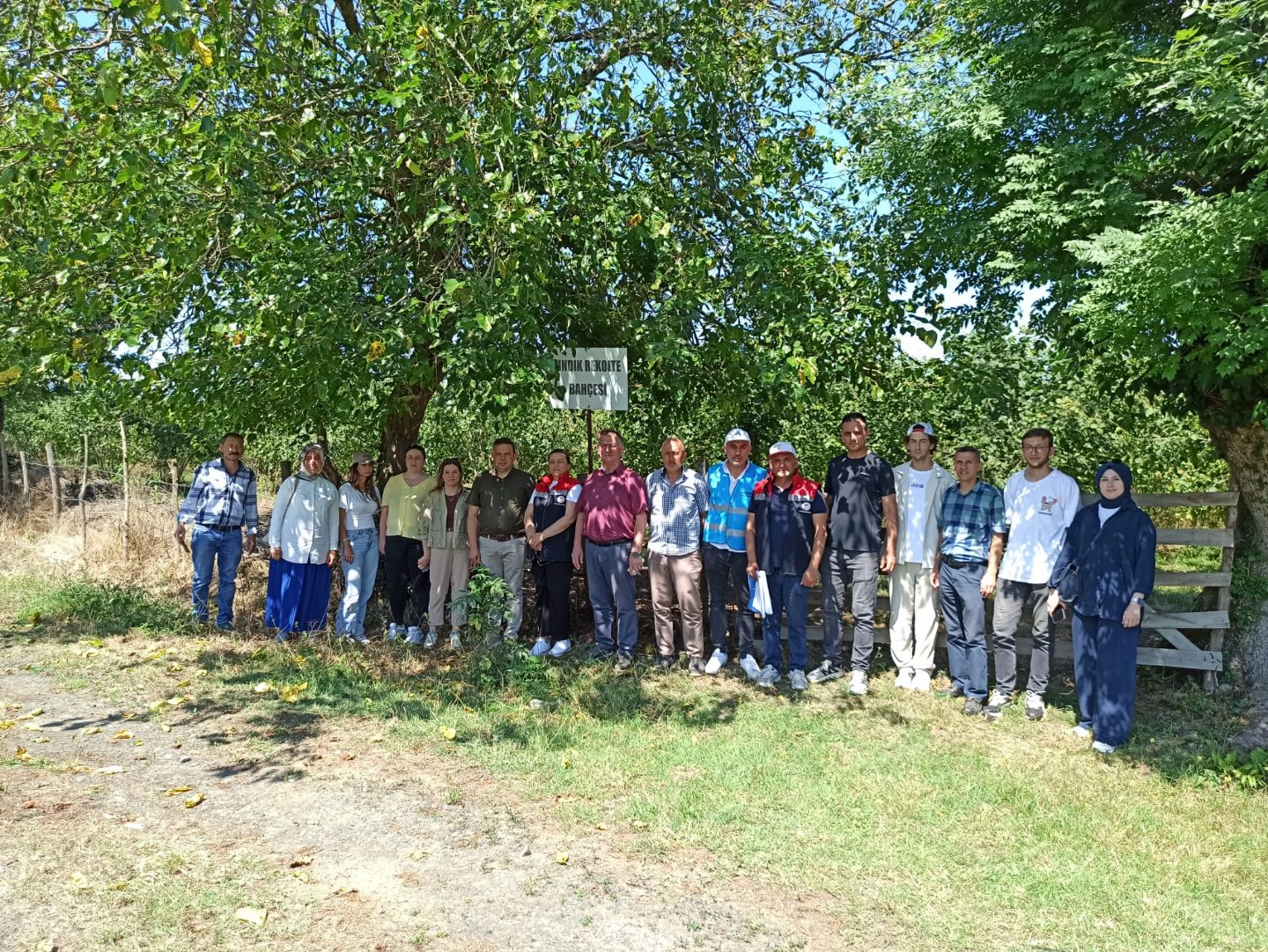 2026 Yılı Fındık Rekolte Sayım Çalışmaları Tamamlandı