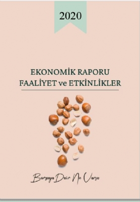 2020 Yılı Ekonomik Raporu Faaliyet ve Etkinlikler