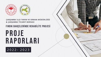 Proje Raporları