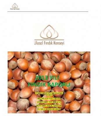 Ulusal Fındık Konseyi Sektörel Rapor