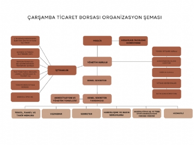 Organizasyon Şeması